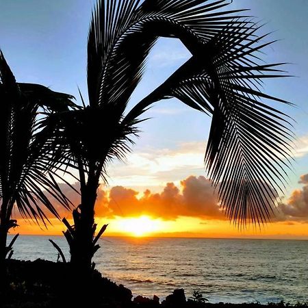 Pahoa Paradise Palms 外观 照片