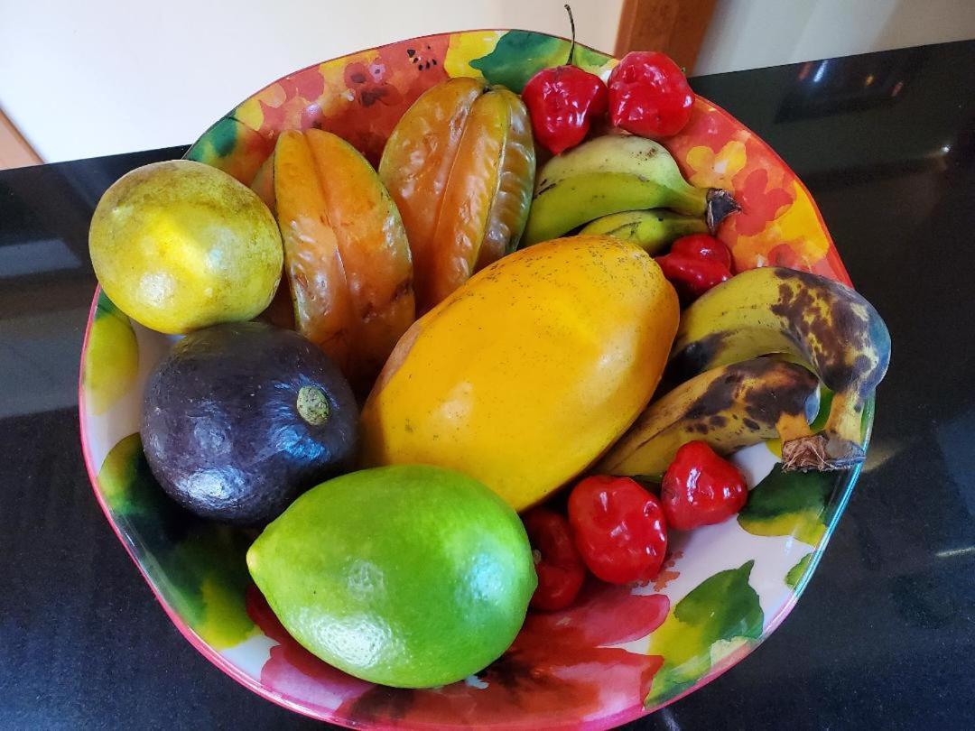 Pahoa Paradise Palms 外观 照片